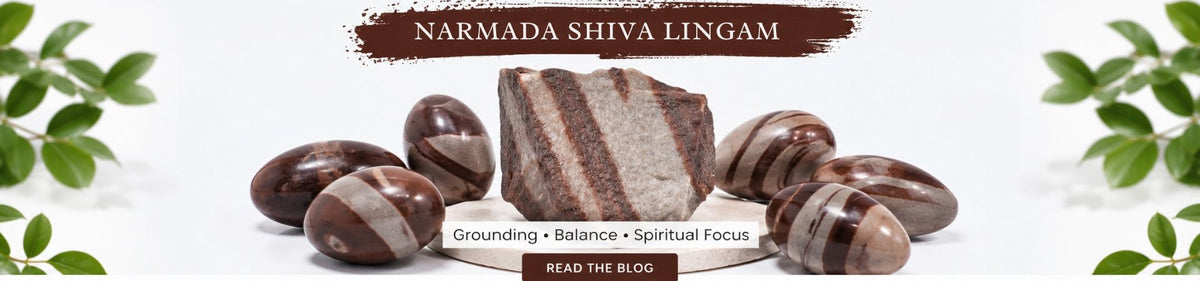 Narmada Shiva Lingam: Meaning, Benefits & Shiva Lingam Stone Guide
