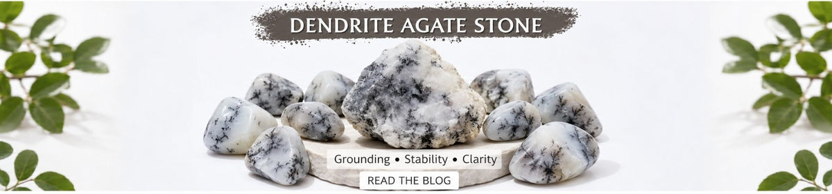 Dendrite Agate: Meaning, Benefits, Uses & Dendrite Crystal Guide