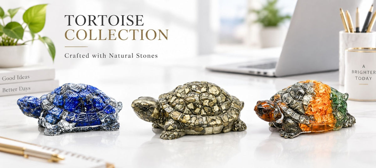 Tortoise