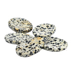 Dalmatian Jasper Worry Stone