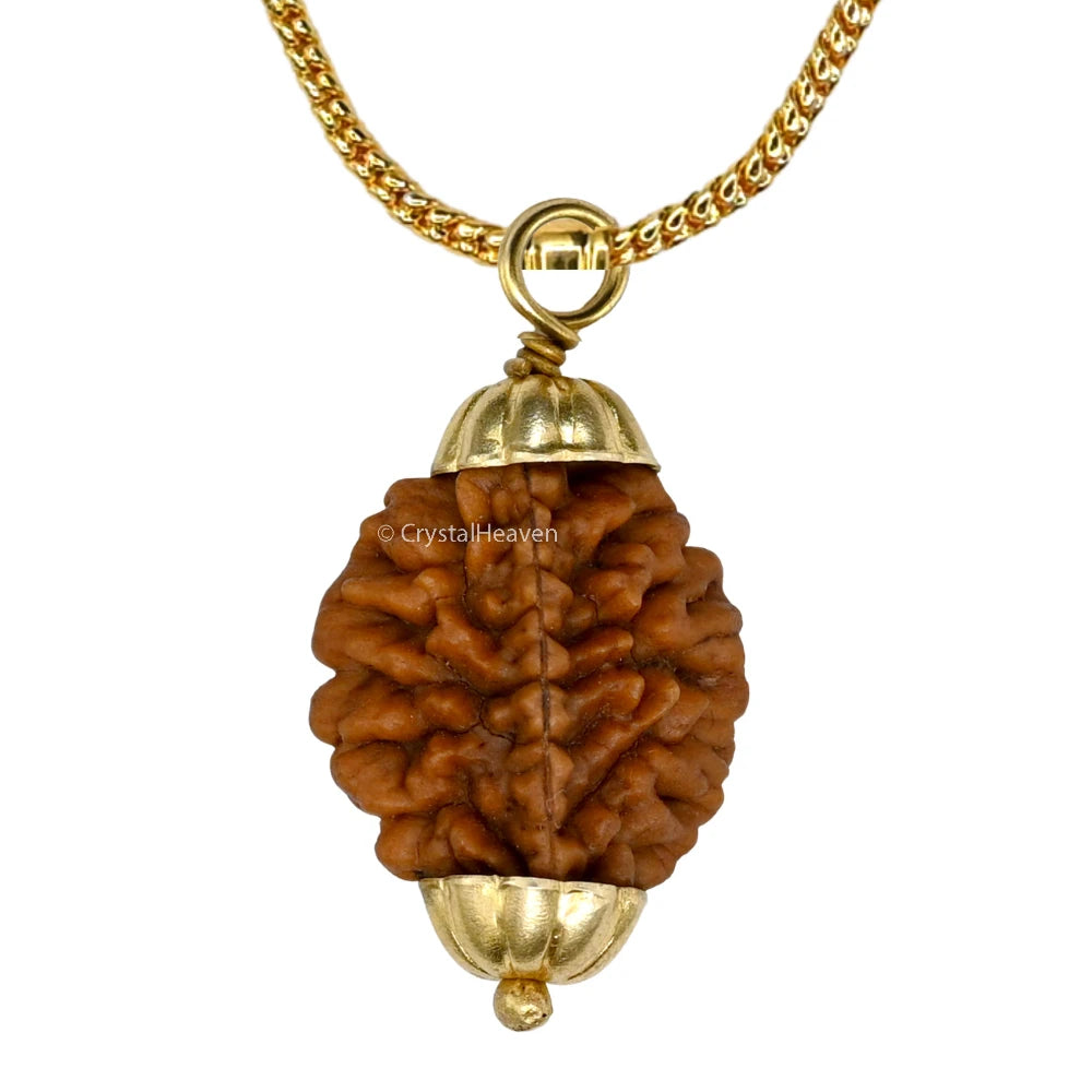 2 Mukhi Rudraksha Pendant (Gold)