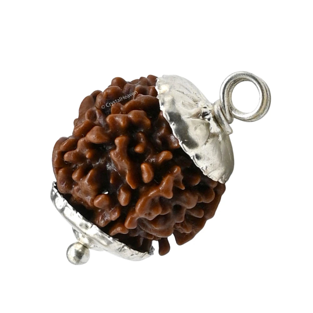 5 Mukhi Rudraksha Pendant (Siver)
