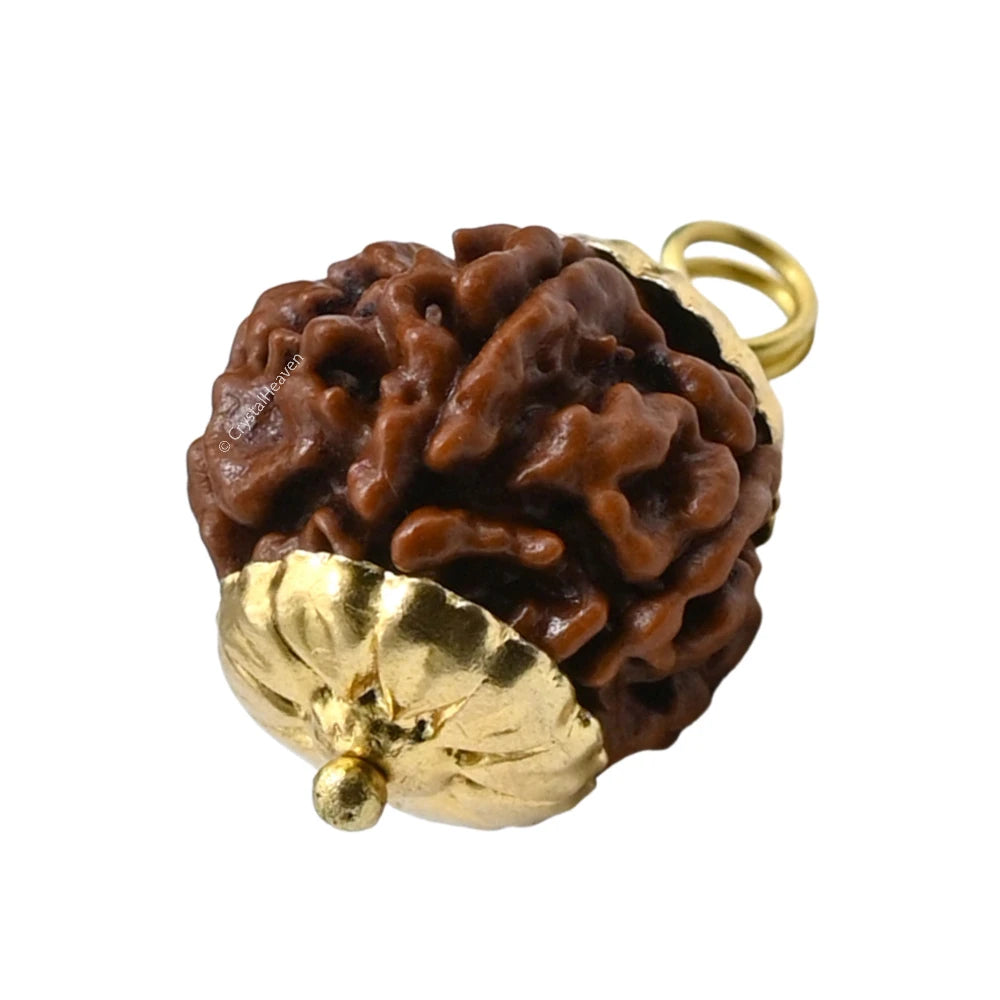 6 Mukhi Rudraksha Pendant (Gold)