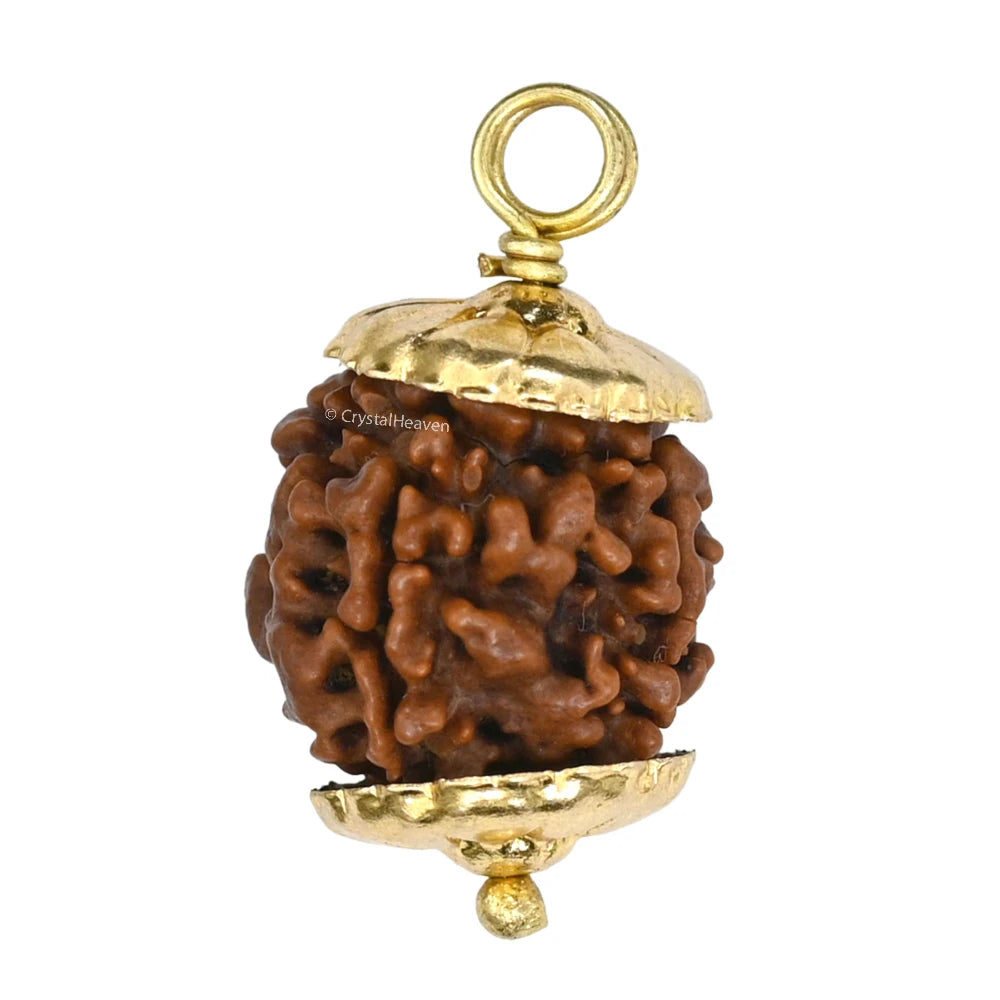 4 Mukhi Rudraksha Pendant (Gold)