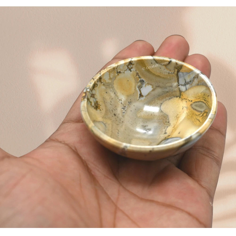 Conglomerate Jasper Crystal Bowl - 2 Inch