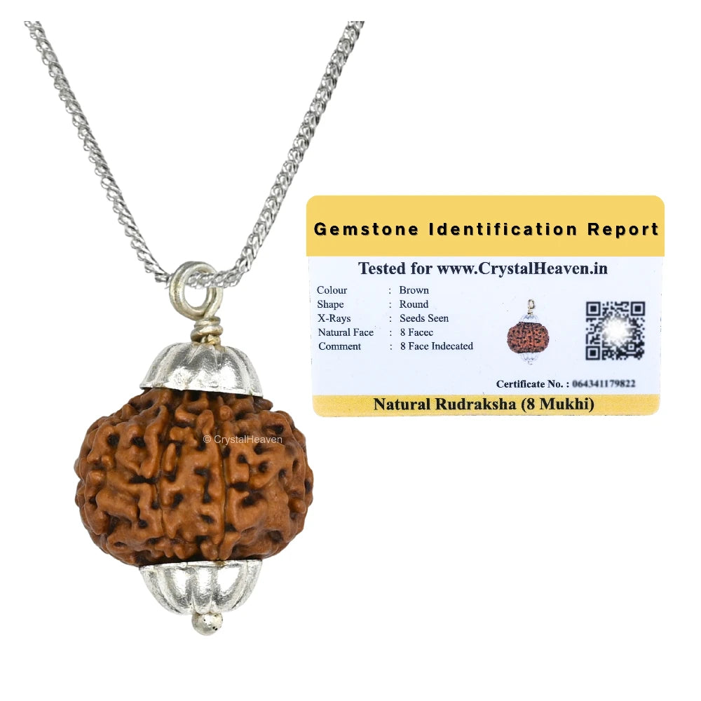 8 Mukhi Rudraksha Pendant (Silver)