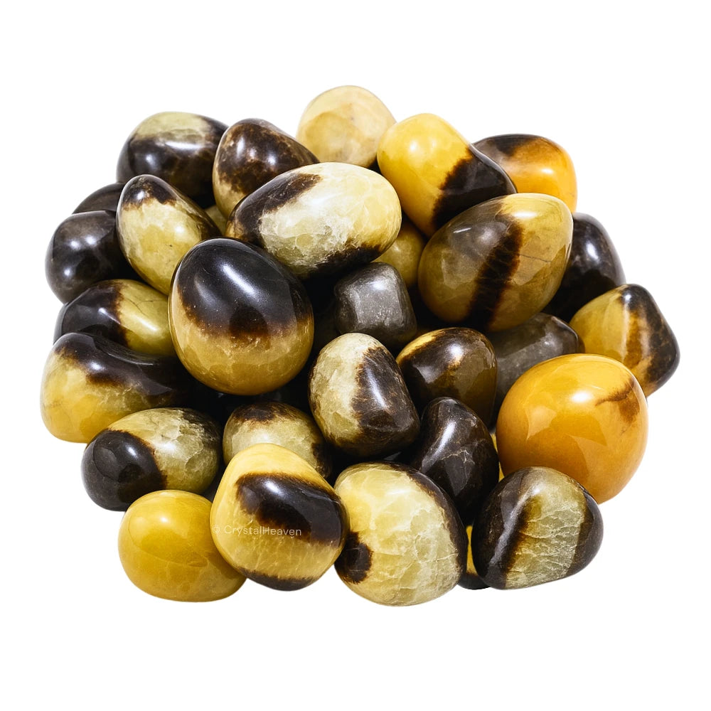 Tumbled Septarian Stones (30 Gram)
