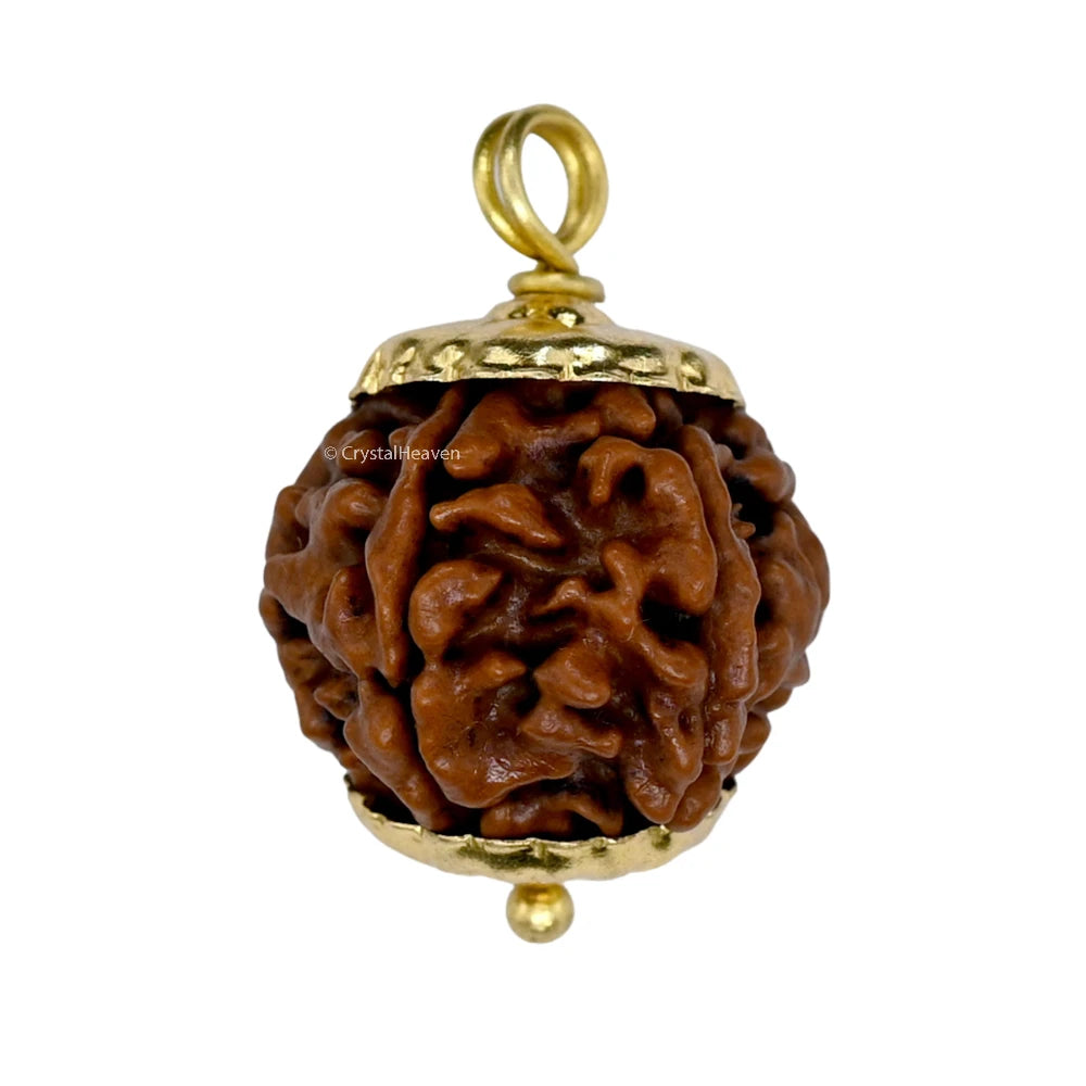 6 Mukhi Rudraksha Pendant (Gold)