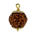 6 Mukhi Rudraksha Pendant (Gold)