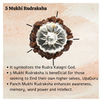 5 Mukhi Rudraksha Pendant (Siver)