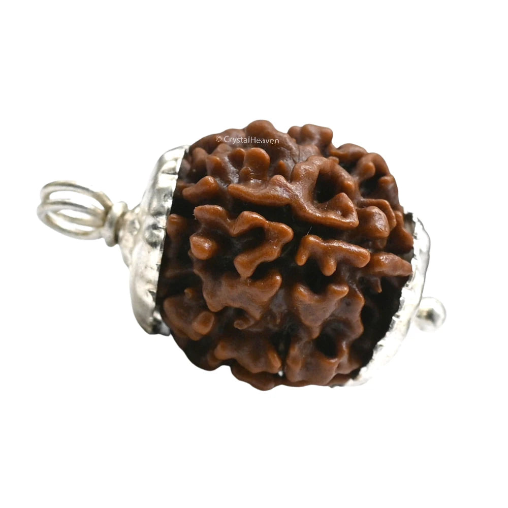 5 Mukhi Rudraksha Pendant (Siver)