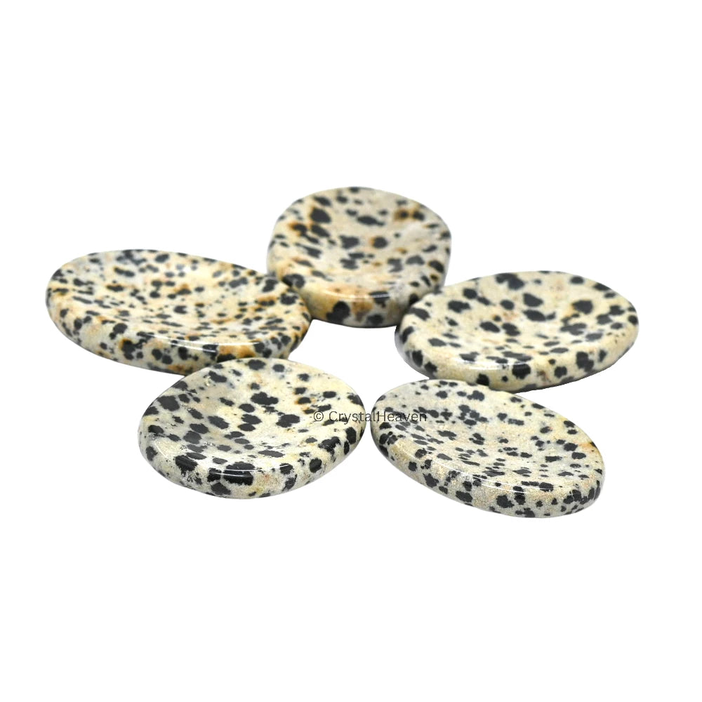 Dalmatian Jasper Worry Stone