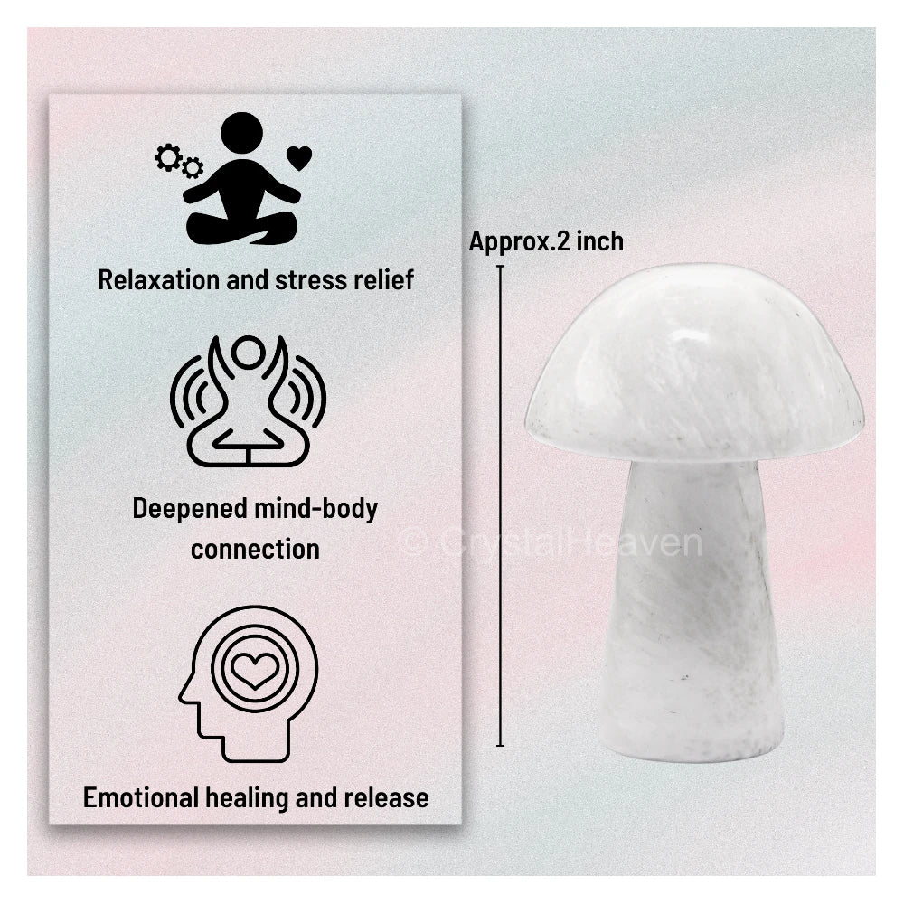 Scolecite Mushroom