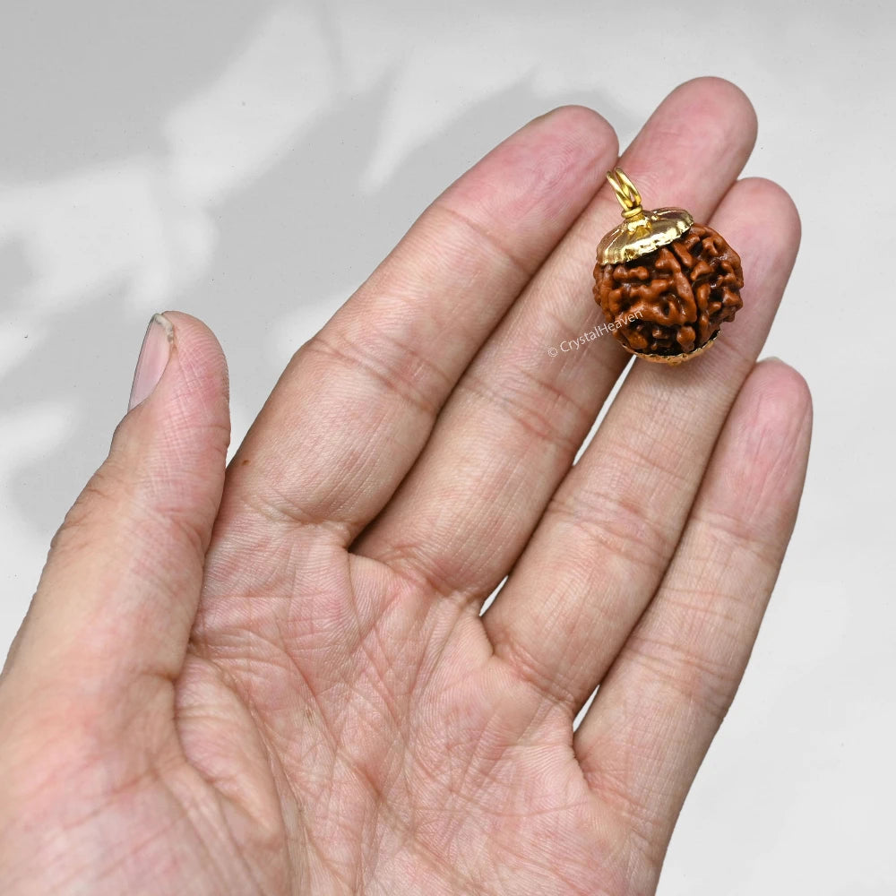 6 Mukhi Rudraksha Pendant (Gold)