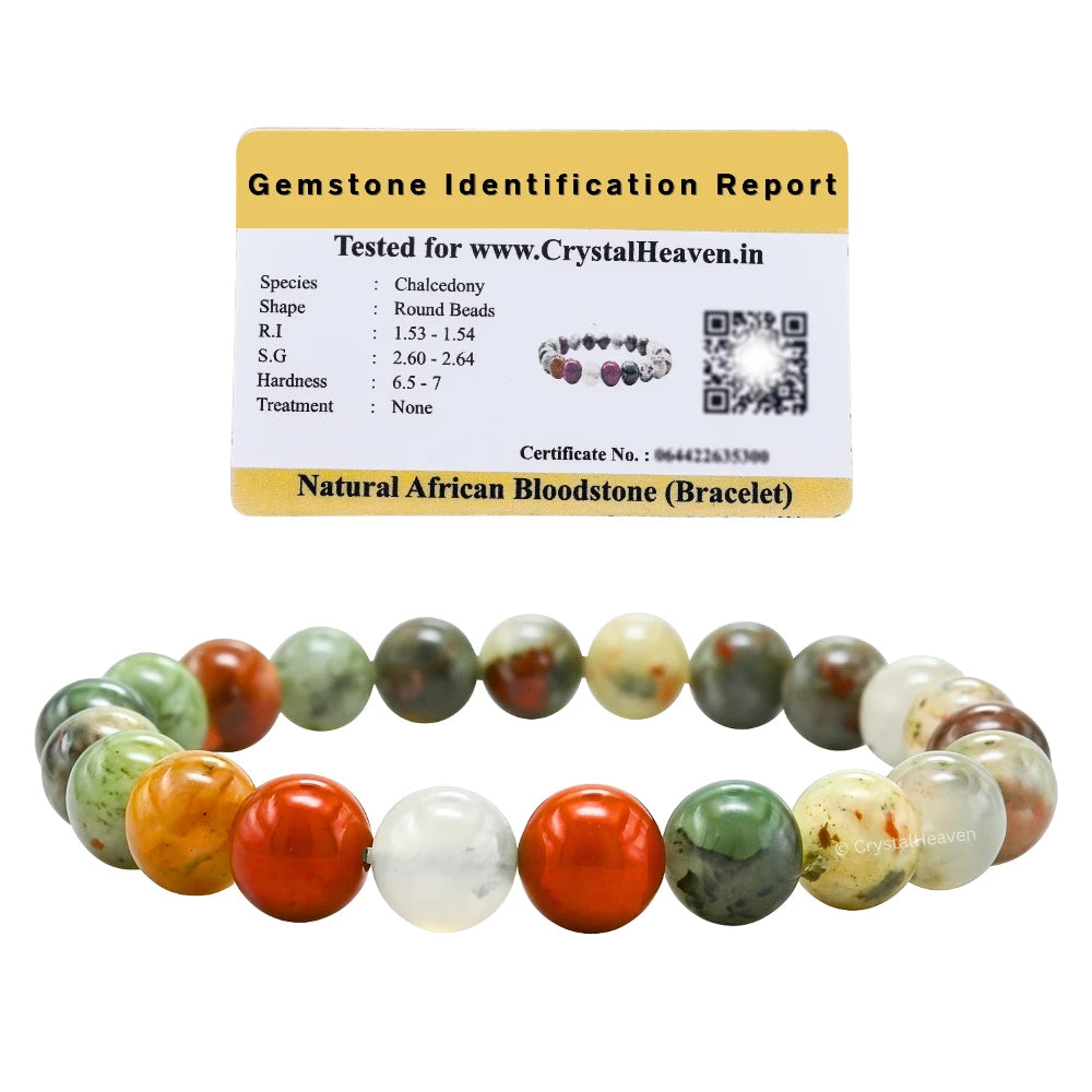 African Bloodstone Bracelet (Elastic)