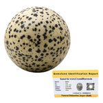 Dalmatian Jasper Sphere (2 Inch)