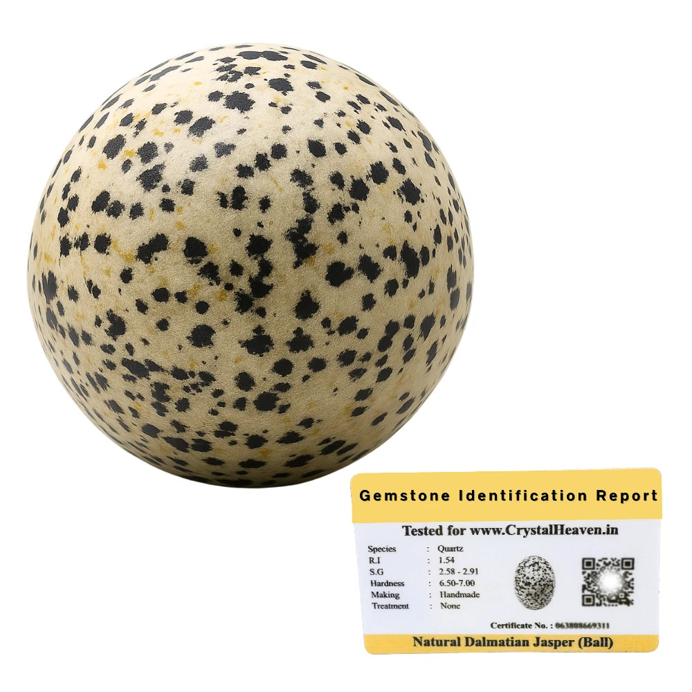Dalmatian Jasper Sphere (2 Inch)