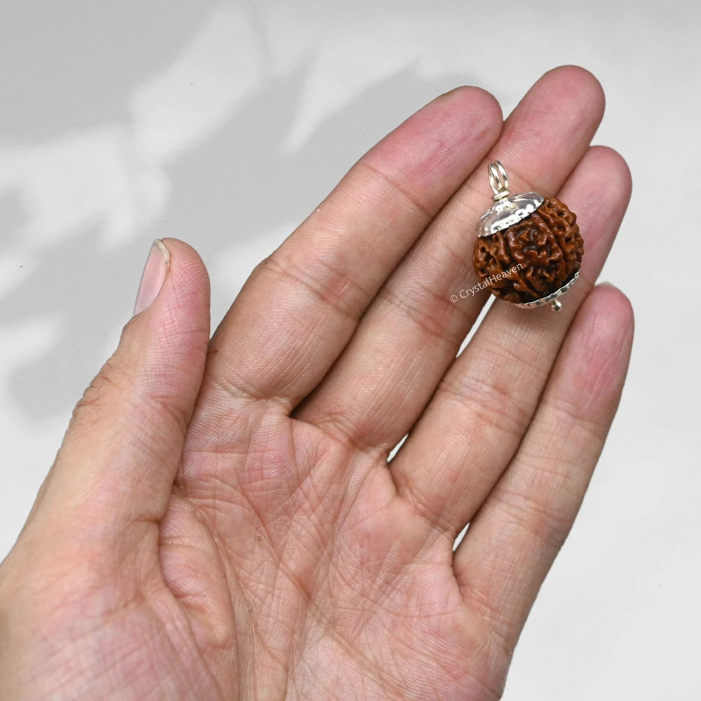 6 Mukhi Rudraksha Pendant (Silver)