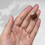 6 Mukhi Rudraksha Pendant (Silver)