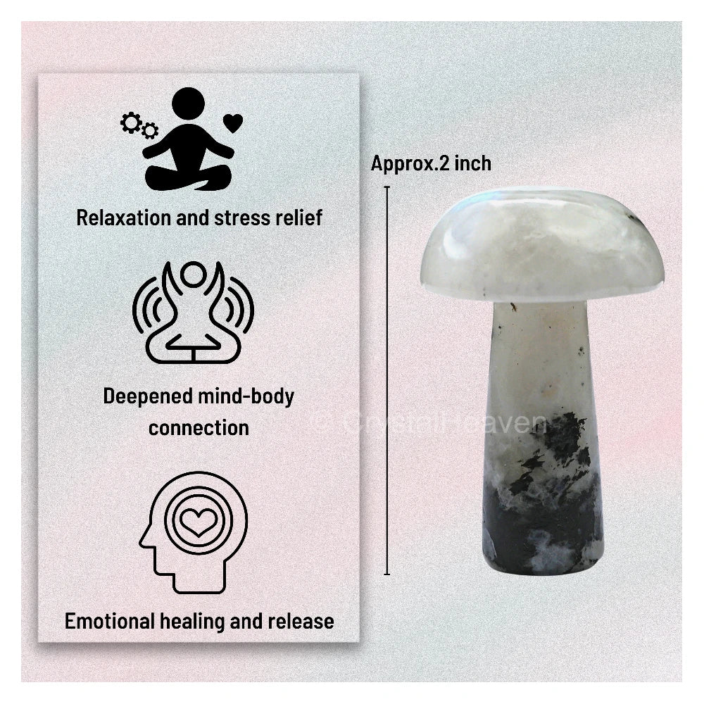Rainbow Moonstone Mushroom