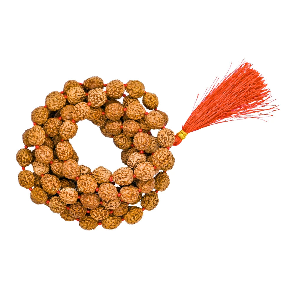 Original Rudraksha Mala (10 mm) (Hand Knotted)