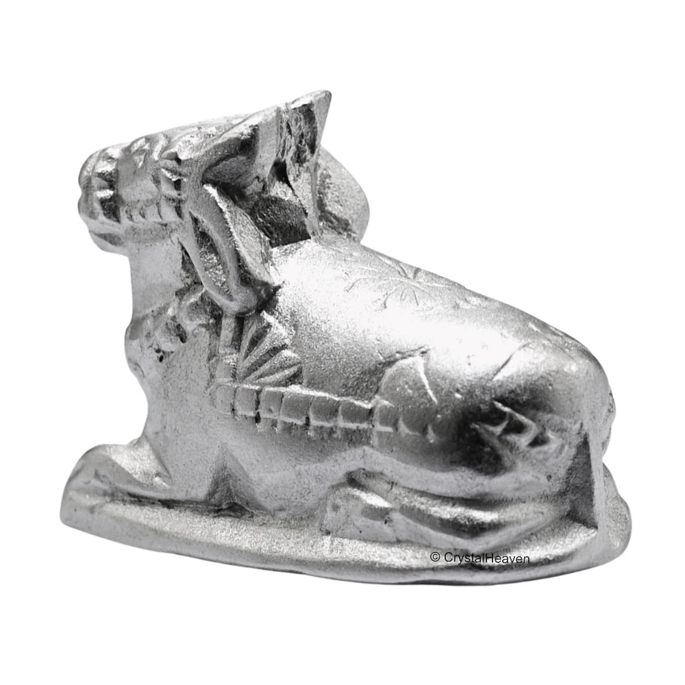 Nandi Parad Idol (102 Gram, 1 Inch-Large)