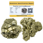 Raw Pyrite Crystals (2 Pieces)