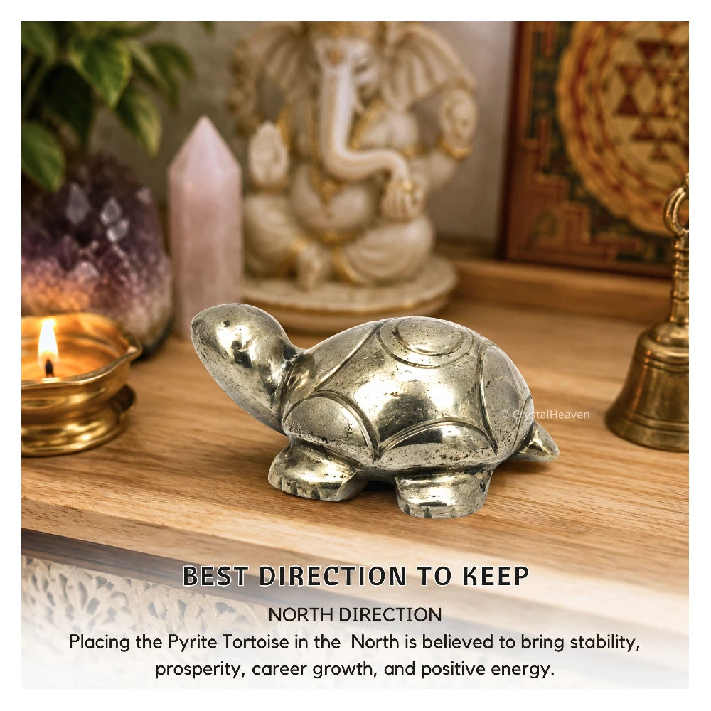 Pyrite Tortoise Kachhua
