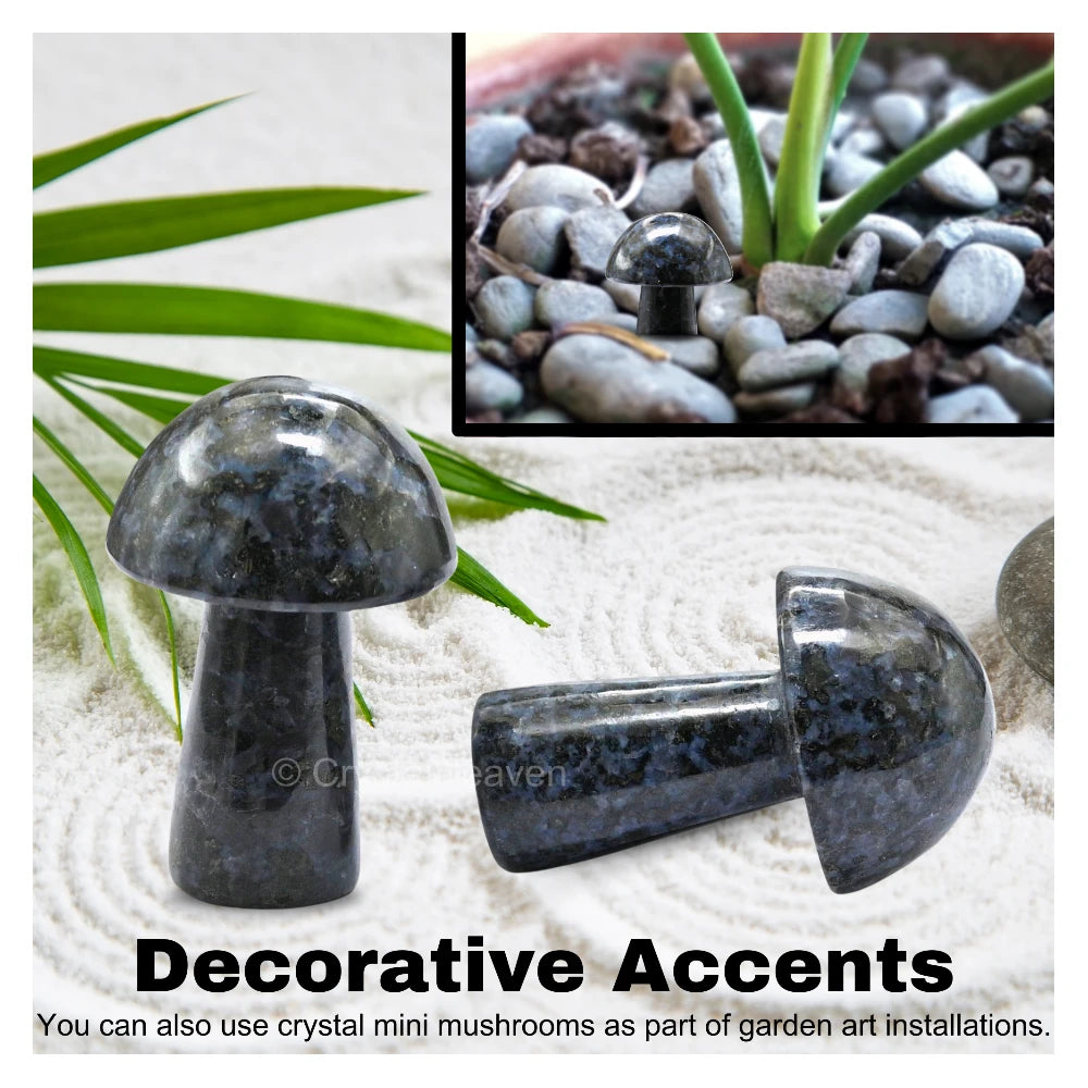 Indigo Gabbro Mushroom