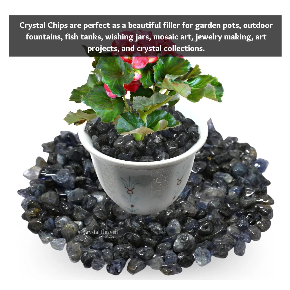Iolite Chips - Pre Drilled