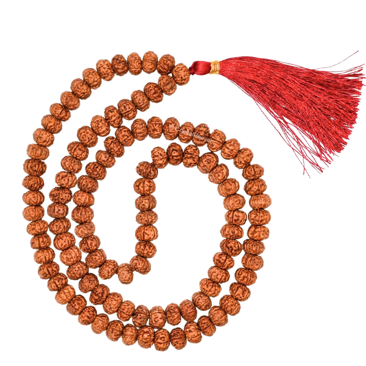 Original 6 Mukhi Rudraksha Mala