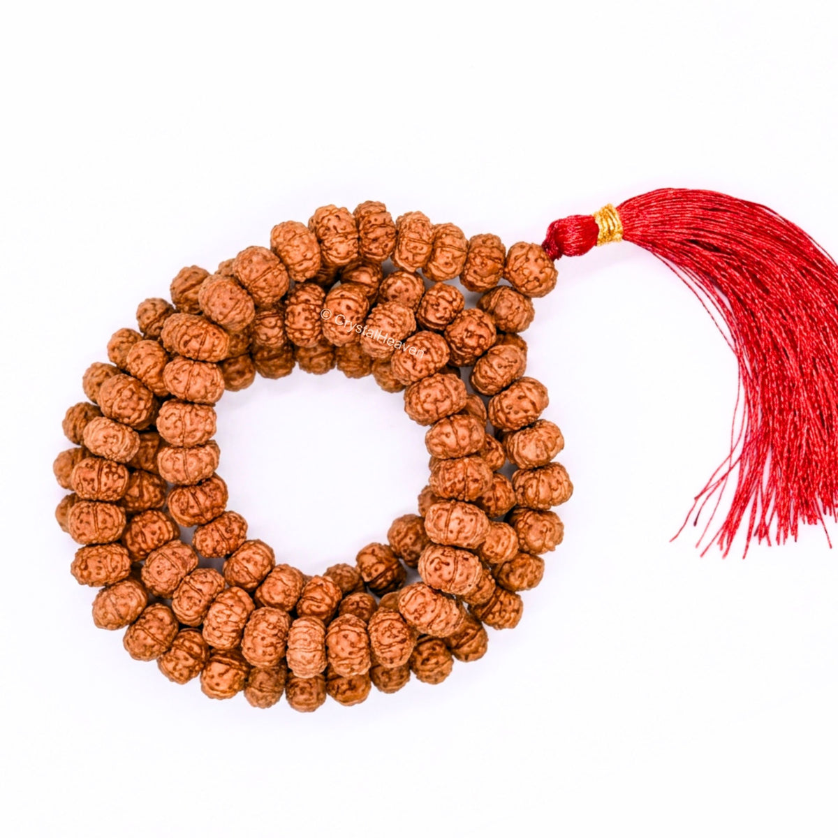 Original 6 Mukhi Rudraksha Mala