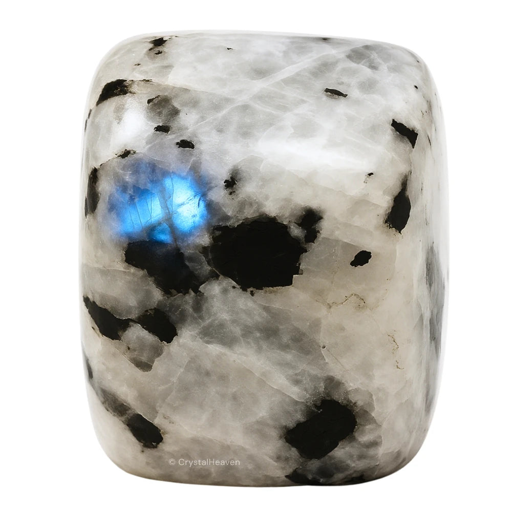 Tumbled Rainbow Moonstone Stones (30 Gram)
