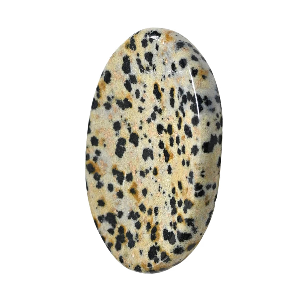 Dalmatian Jasper Worry Stone