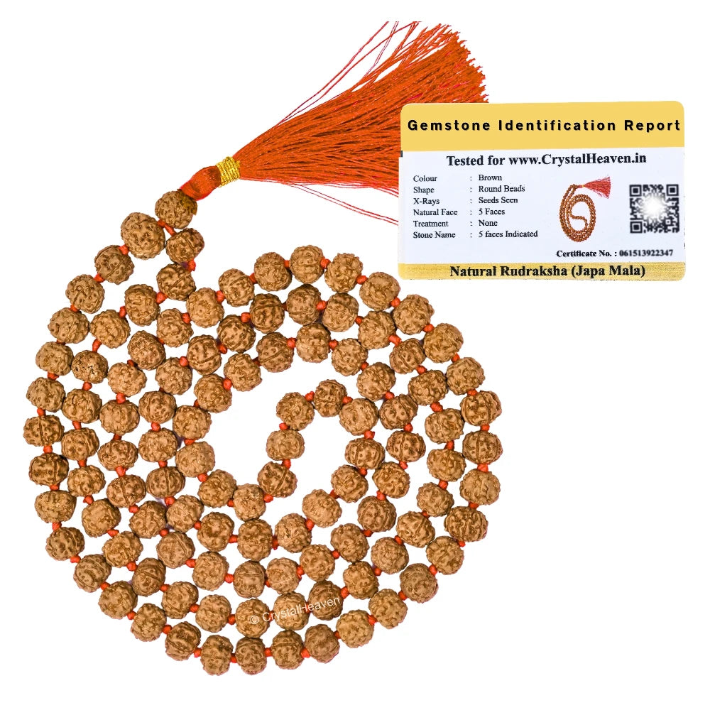 Original Rudraksha Mala (9 mm) (Hand Knotted)