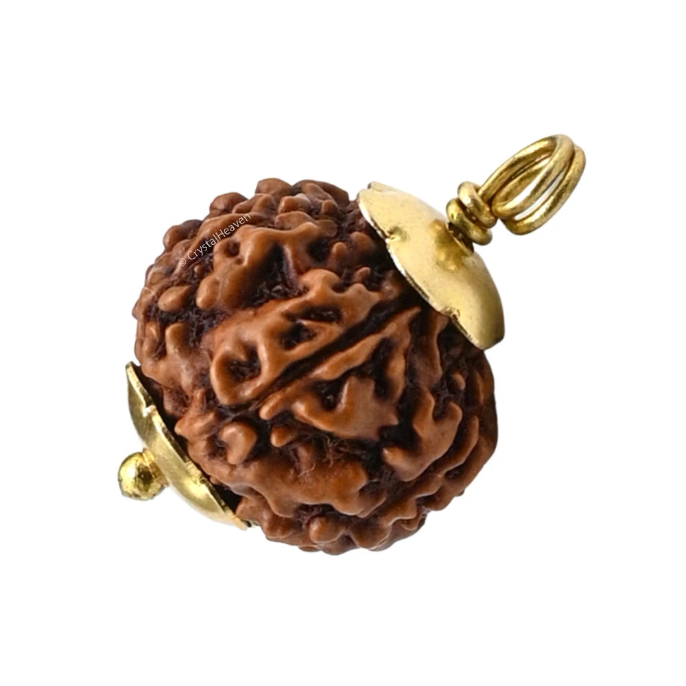 7 Mukhi Rudraksha Pendant (Gold)