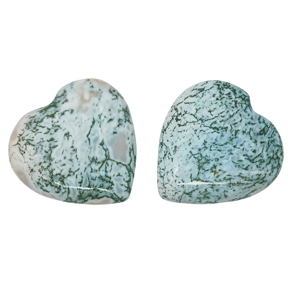 Tree Agate Mini Heart (Pack of 2)