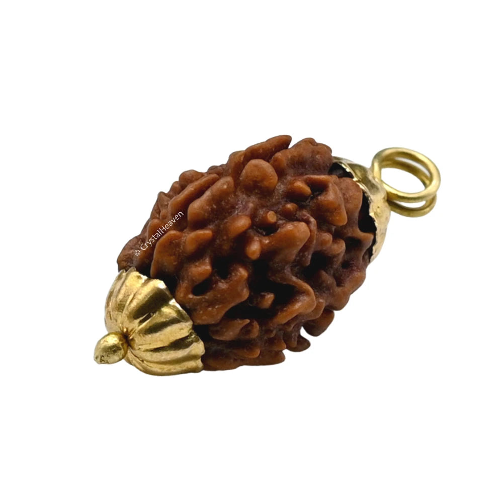 3 Mukhi Rudraksha Pendant (Gold)