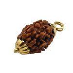 3 Mukhi Rudraksha Pendant (Gold)