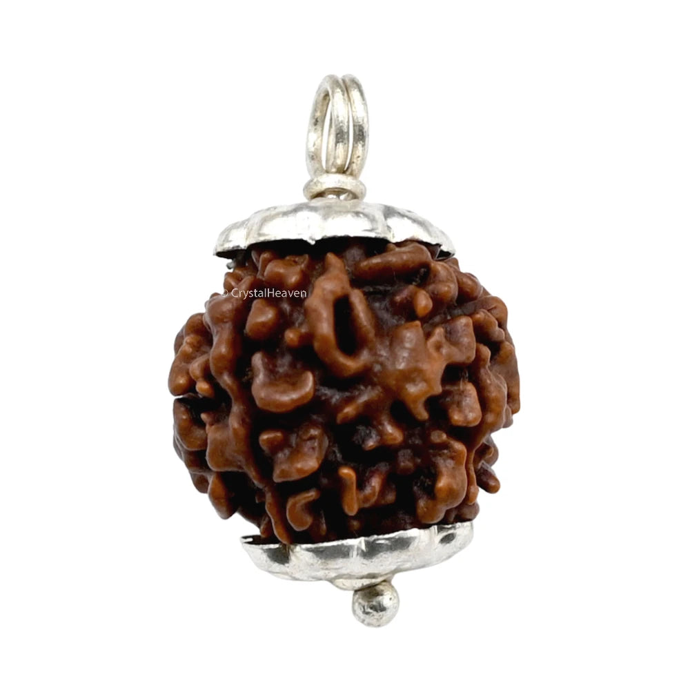 4 Mukhi Rudraksha Pendant (Silver)