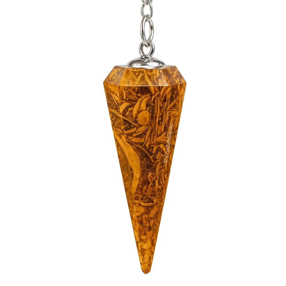Mariyam Jasper Pendulum