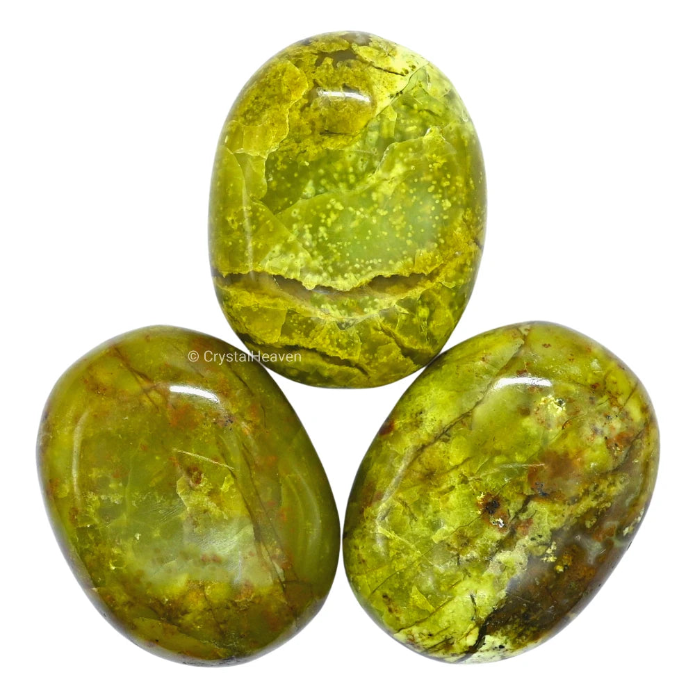 Green Opal Palm Stone