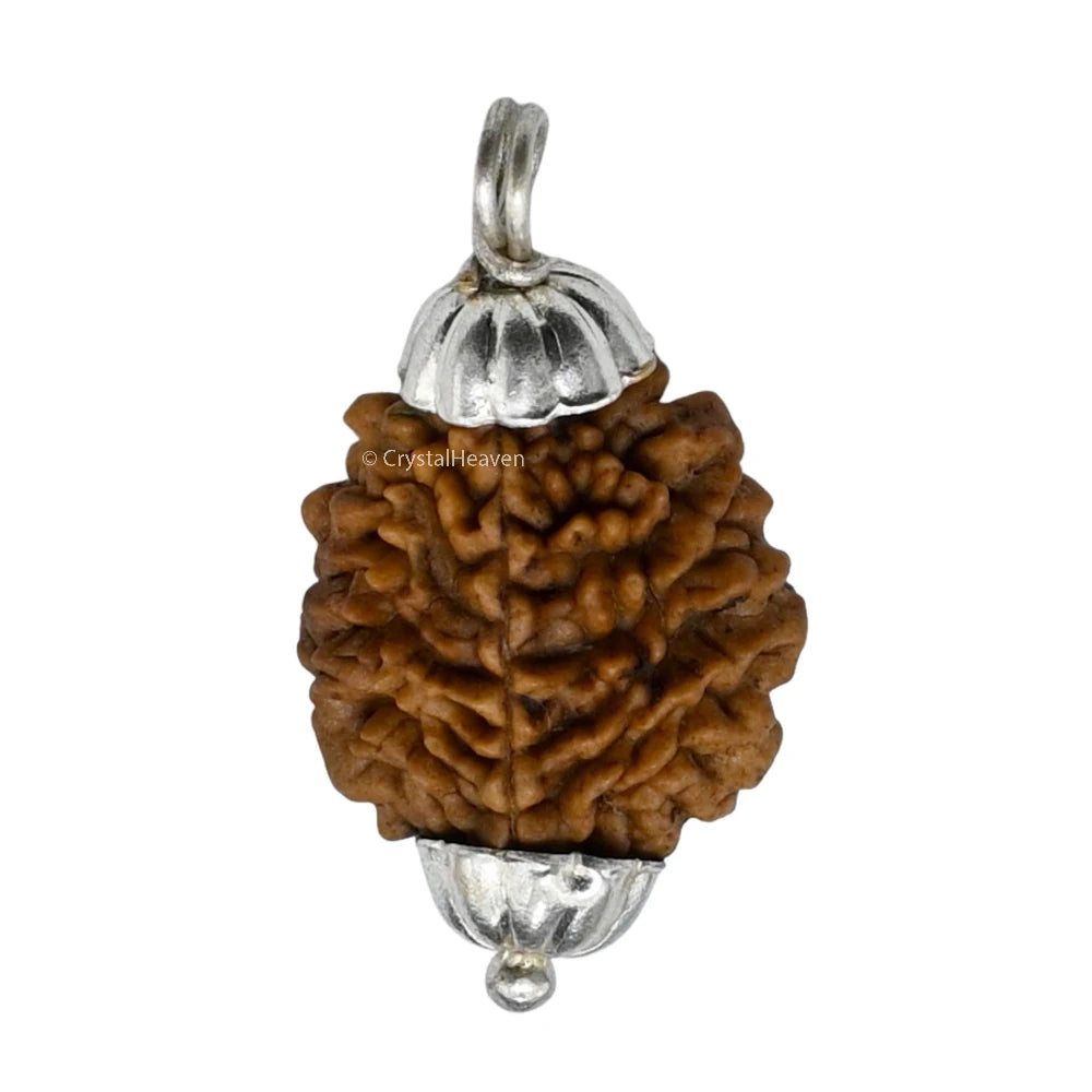 2 Mukhi Rudraksha Pendant (Silver)
