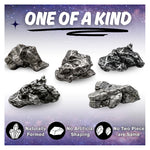 Meteorite Specimen - Campo del Cielo