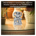 Kali Mata Parad Idol (68 Gram, 1.4 Inch)