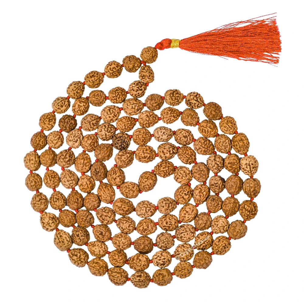 Original Rudraksha Mala (10 mm) (Hand Knotted)