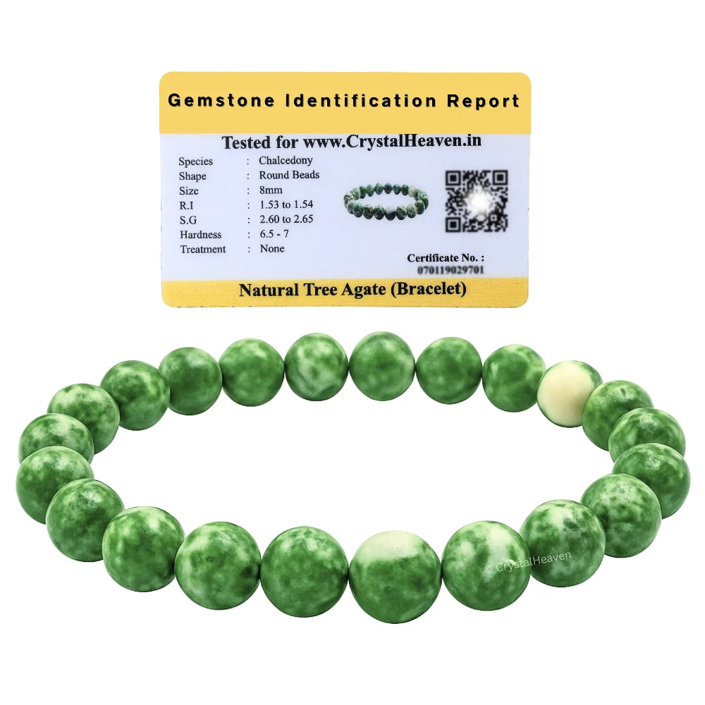 Tree Agate Bracelet (Elastic)
