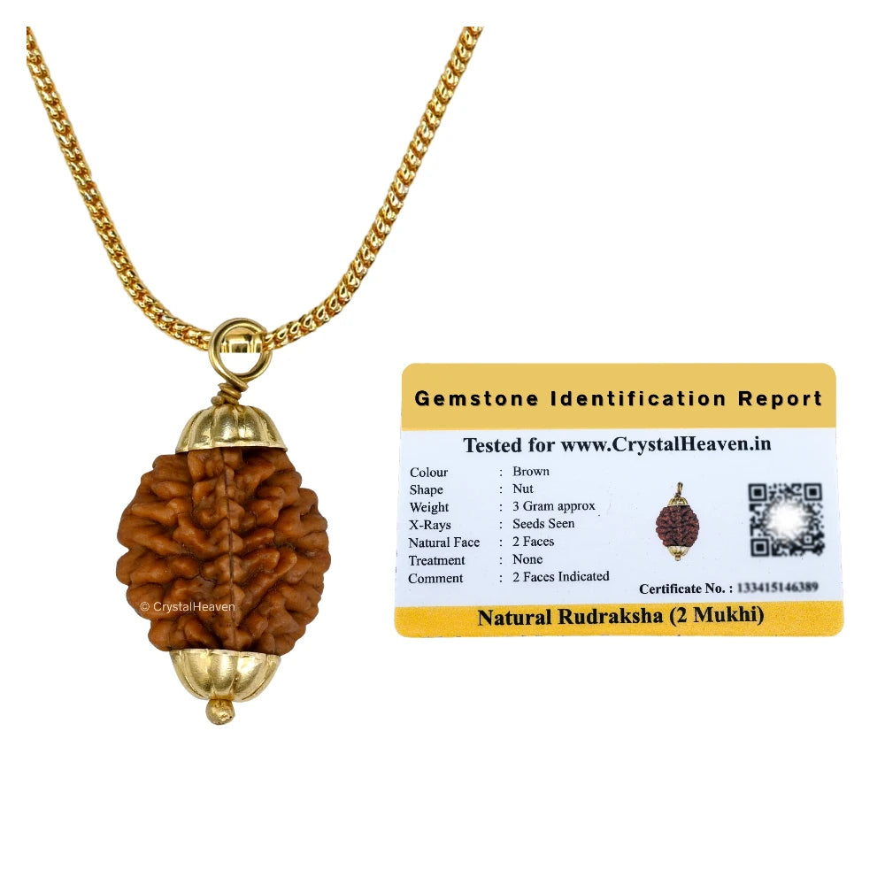 2 Mukhi Rudraksha Pendant (Gold)