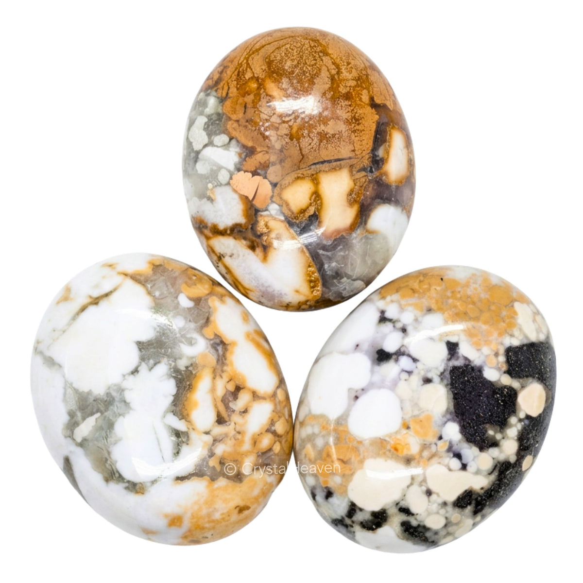 Conglomerate Jasper Palm Stone