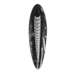 Kuber Stone To Heal Financial Issues (3-4 Inch)